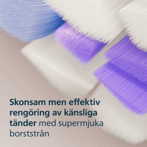 S0465701_9